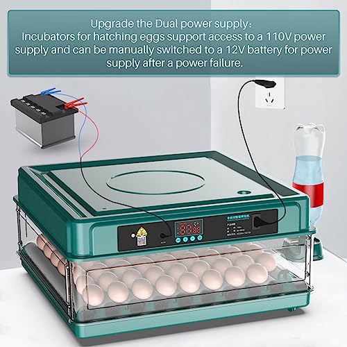 Automatic Egg Incubator 12-38 Egg Digital Poultry Hatcher Machine ith Automatic Egg Turning, Temperature & Humidity Control, Efficient LED Lighting for Chicken Geese Ducks Pigeons Quails (12 Eggs) - style: 12 Eggs