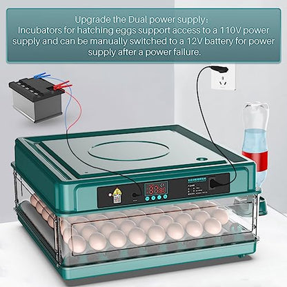 Automatic Egg Incubator 12-38 Egg Digital Poultry Hatcher Machine ith Automatic Egg Turning, Temperature & Humidity Control, Efficient LED Lighting for Chicken Geese Ducks Pigeons Quails (12 Eggs) - style: 12 Eggs