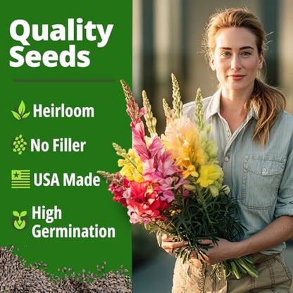 HOME GROWN Snapdragon Seeds, Tetra, 2,000 Seeds, Antirrhinum majus