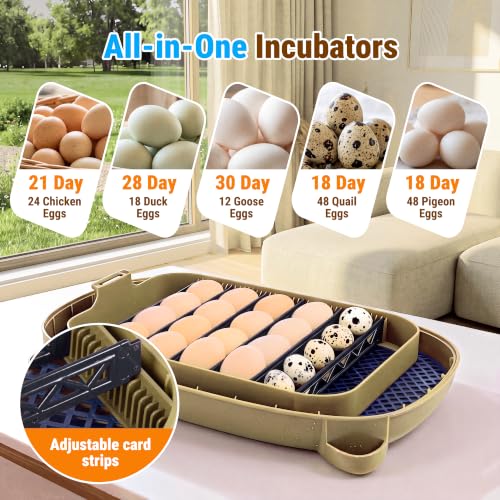 Premium 24 Egg Incubator with Smart Automatic Turner & Egg Candler - size: 24 Egg
