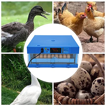 64 Hatching Eggs Incubator Digital Automatic Incubator, Temperature Humidity Control, 360° Automatic Egg Turner, Function Panel Display for Hatching Chicken Duck Goose Pigeon Quail