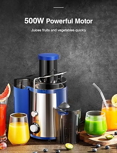 Juicer Machine 800W Centrifugal Juicer with Wide Mouth Feed Chute - color: Blue, size: 800W