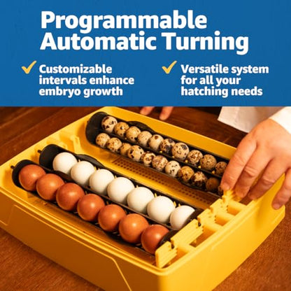 Brinsea Ovation 28 EX Egg Incubator, Humidity Control & Educational Book - style: With Book