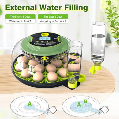 18 Chicken Egg Incubator with Temperature Control Auto Egg Turner - style: 18 Eggs