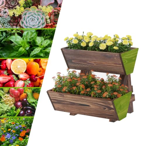 Vertical Garden Planter 2 tier Raised Garden Bed Tiered Wood Planter Box - color: Carbonized, size: 2-Tier-Small