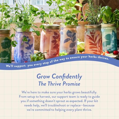 Modern Sprout Mason Garden Jar - Self-Watering Hydroponics Kit - Lavender - color: Lavender, size: Garden Jars