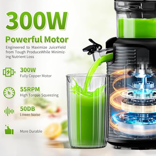 5ive Cold Press Juicer, 5.1" Juicer Press with 41oz Capacity for Fruits Veg - color: Silver Gray