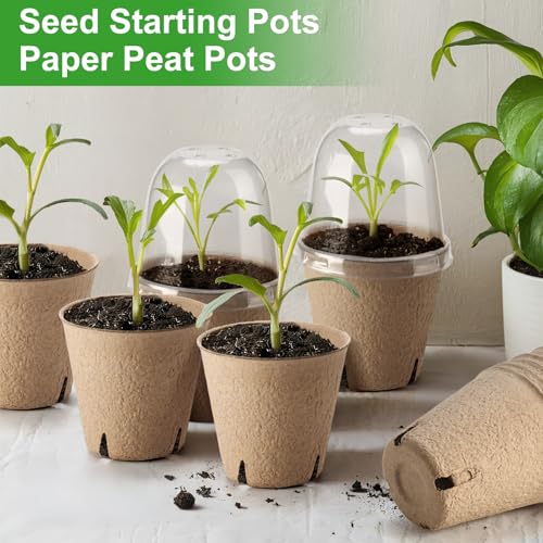 36 Set 3.15 Inch Peat Pots Plant Starters for Seedling with Humidity Dome