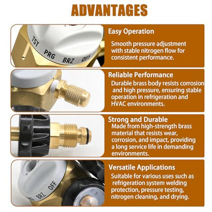 VN-500 Nitrogen Purging Regulator Control Valve