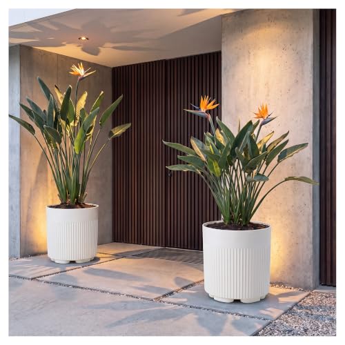 COSIEST 16’’ Plastic Planter Pot with Drainage for Indoor Outdoor, 2 Pack | Drainage Design, Garden Planter Pot - color: White, size: 2 PCS