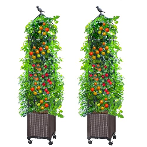 Sunnyglade 2 PCS 63" Raised Garden Bed Planter Tomato Cage with Trellis