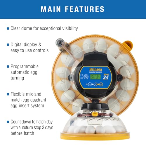 Brinsea Maxi 24 Advance Incubator with auto Turner for Hatching 24 Eggs - size: 24 Eggs