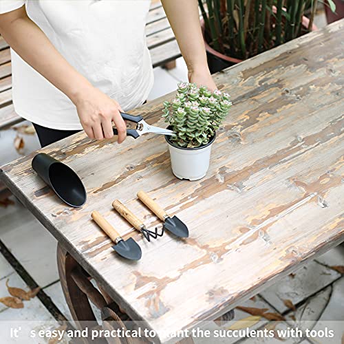 5 Pcs Succulent Tools, Mini Garden Tools, Small Indoor Plant Repotting Set - style: Luxury Garden Tools