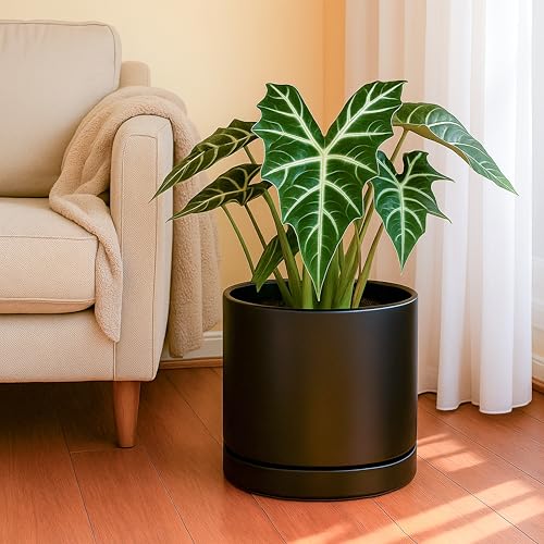 D'vine Dev 10 Inch Ceramic Planter Pot, Black, 94-O-E-2 - color: Black, size: Large