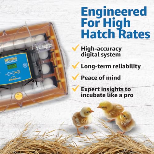 Brinsea Ovation 28 EX Egg Incubator, Humidity Control & Educational Book - style: With Book