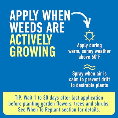 Roundup Weed & Grass Killer4 Concentrate, 1 gal. - size: 1 gal. Conentrate
