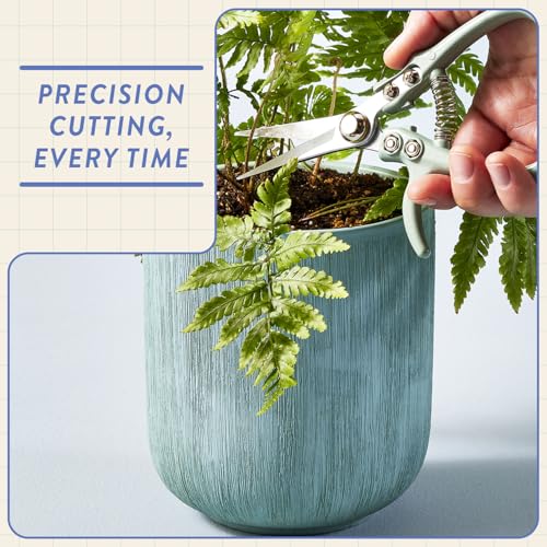 Modern Sprout Hydroponic Grow + Harvest Bundle - color: Lavender Garden Jar + Lavender Shears