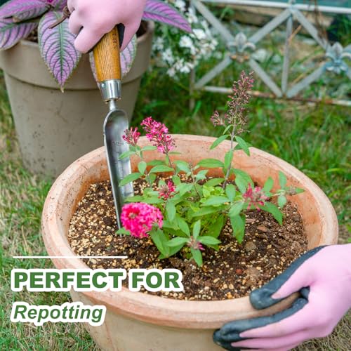 Haliaeetus Widger Seedling Tool, 6'' Depth Mark Narrow Trowel for Repotting - size: 13.8''