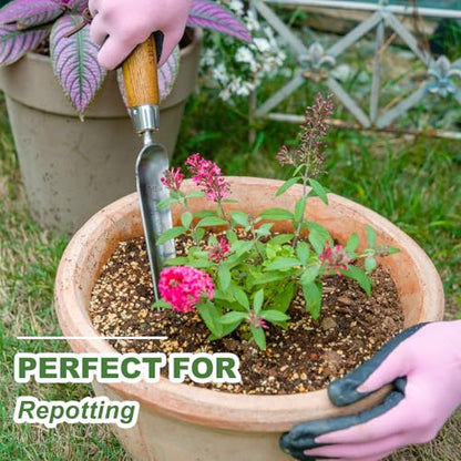 Haliaeetus Widger Seedling Tool, 6'' Depth Mark Narrow Trowel for Repotting - size: 13.8''