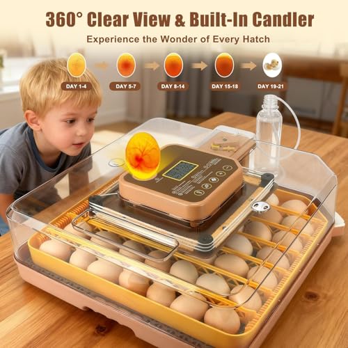 ZEMIRO CHARGE Series IV - 48 Egg Incubator for Breeders, Sensor-Based Precise Humidity & Temp Control, Chick Separator, Adjustable Egg Spacing, Auto Turn & Auto Stop, Preset Incubation Days, Candler - size: 48-Egg Brown