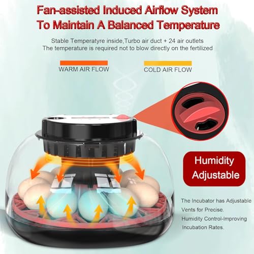 12 Egg Incubator with Auto Turner, Built-in Candler & Humidity Display - size: 12 Egg