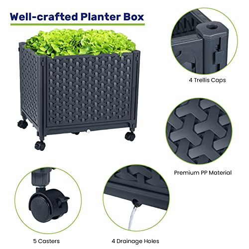 LINEX Raised Garden Bed Planter Box with Trellis, 67.6” Tomato Planters for Climbing Plants Vegetable Vine Flowers Outdoor Patio, Tomatoes Cage w/Self-Watering & Wheels - size: 16.4*12.4*67.6 inch