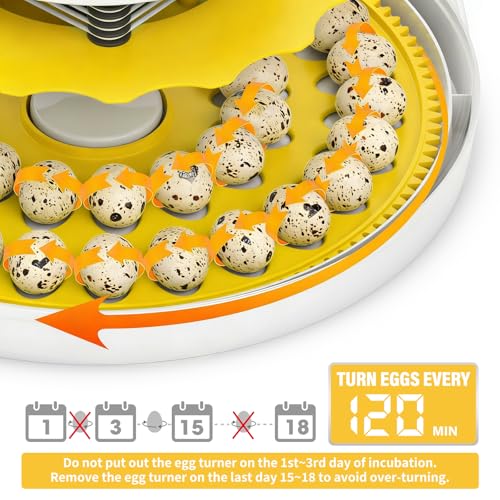 Quail Egg Incubator for Hatching 40 Quail Eggs with Automatic Turner - color: Yellow