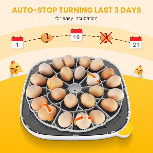 Sailnovo 24 Eggs Incubator, 4 Modes, Temp Control & Humidity Display, Grey - color: Grey, size: 24 Eggs