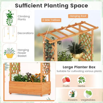 S AFSTAR 72-Inch Raised Garden Bed with Arch Trellis, Hanging Roof & Drainage Holes, Vertical Plant Container for Vine Climbing Plant Flower, Indoor Outdoor Wood Elevated Planter Box for Garden Patio - size: 43.5"L x 17.5"W x 72"H