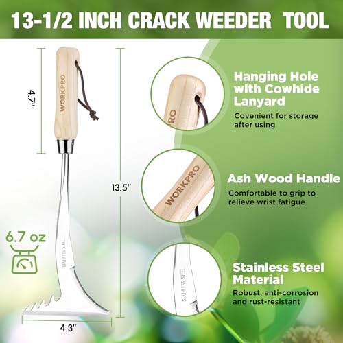 WORKPRO Crack Weeder, 13.5" Stainless Steel Weeding Tool, Wooden Handle