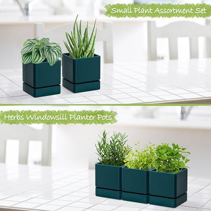 D'vine Dev 3-Pack Plastic Herb Planter Pots, 4 in, Green, 76-Y-C-1 - color: Green, size: 12 Inch x 4.5 Inch