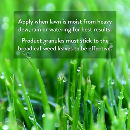GreenView Weed and Feed 13 lb. Bag, Covers 5,000 sq. ft. - size: Covers 5,000 sq. ft.