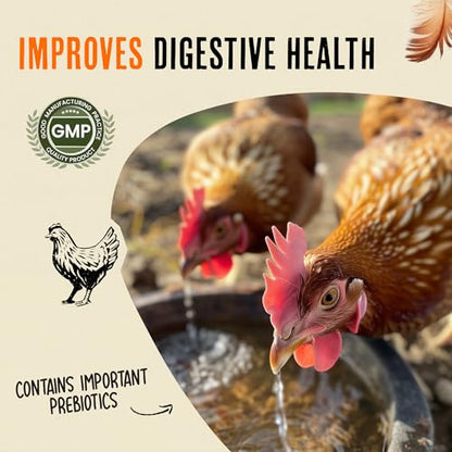 Roosty's Chicken Immunity & Digestion Booster, Omega-3 Vitamins, 16oz