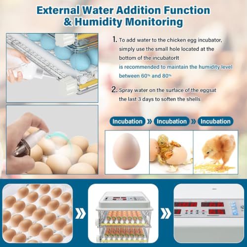 120 Egg incubators for Hatching Eggs with Automatic Turning & 5 Modes - color: 120 Egg White