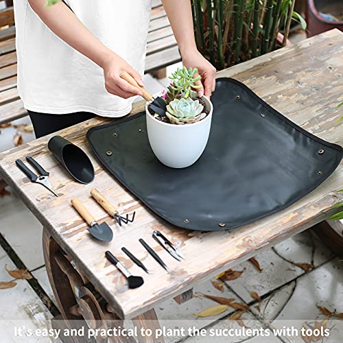 11Pcs Succulent Tools, Mini Garden Tools, Plant Repotting Set(No Flowerpot) - style: Abundant Garden Tools