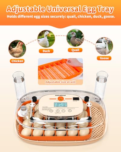 24 Egg Incubator with Automatic Turner Poultry Hatcher - color: Orange