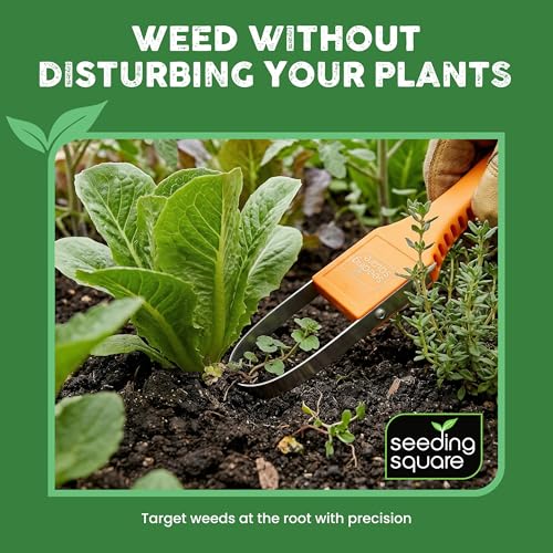 Seeding Square Sneaky Weeder + Row Seeder Bundle – Garden Weeding Tool, Row Maker & Seed Spacing Template for Raised Bed & Vegetable Gardening