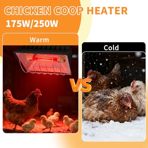 250W Chicken Coop Heat Lamp with Guard & Adjustable Temp - size: 1 Pack
