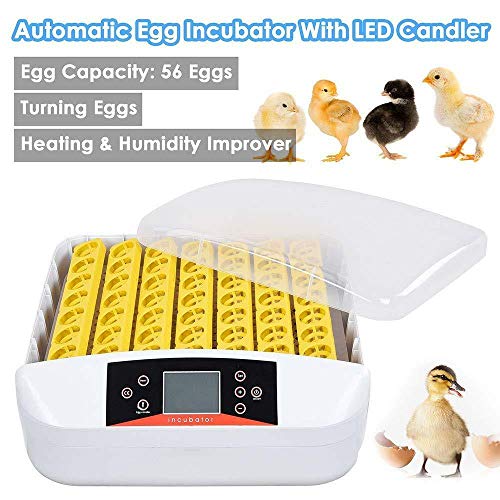 TECHTONGDA Digital Egg Incubator 56Eggs Automatic Poultry Hatcher with Egg Turning and Humidity Control 110V