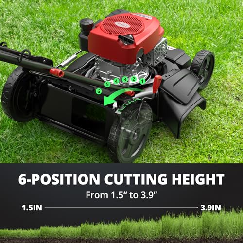 AMERISUN 21" Gas Push Lawn Mower,144cc 4-Stroke OHV Engine,2-in-1 Mowing
