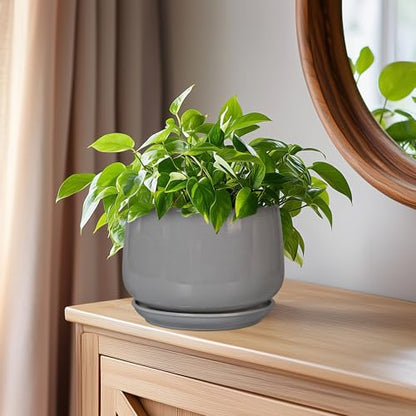 G EPGardening Ceramic Pot for Plants, 6 Inch, Gray - color: Gray, size: 5 Inch