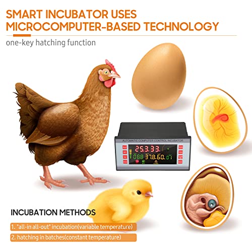 Garosa Egg Incubator Controller, Digital Thermostat