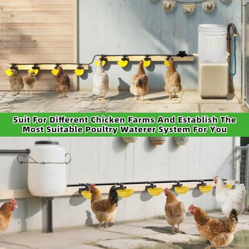 Automatic Chicken Water System, Complete Set with Large Water Cup,Pipeline - size: 6Cups