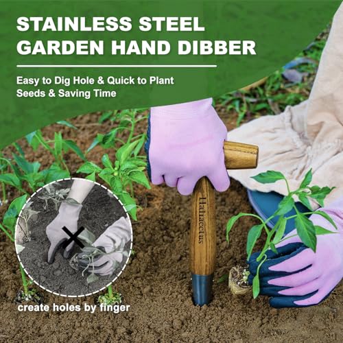 Haliaeetus Dibber Garden Tool, Stamped Stainless Steel Tip Seed Dibber
