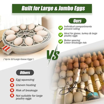 JGT360 Large Goose Egg Turner Tray for Nurture Right 360 Incubator, 10 Egg