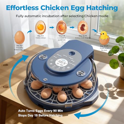 Egg Incubator for Hatching Eggs, 5 Preset Incubation Modes & 1 Custom Mode