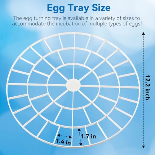 Enhon 48 Egg Tray Compatible with Nurture Right 360 Incubator, Plastic Egg Turner Tray Replacement for Hatching Small Quail Bird Chicken Goose Turkey, Hand Washable, Various Sizes (Pack of 2) - size: 12.2"L x 12.2"W x 0.8"H (Pack of 2)