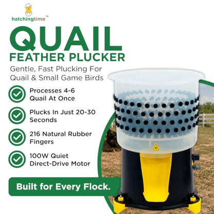 Hatching Time Quail Plucker Machine, 16.2 in ABS Drum, 4-6 Quails - size: 4-6 Quail