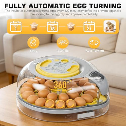 IBKINXX 26 Egg Incubator for Hatching Eggs - Smart Voice Guidance