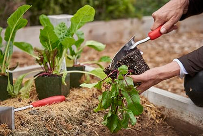 Corona Stainless Steel ComfortGEL Transplanter, red - size: red, style: Transplanter